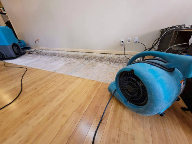 Professional Water Damage Repair technician working in McCormick, SC